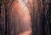 [NBA]老当益壮！詹姆斯溜底线接球暴扣.