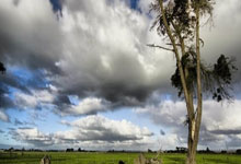 问鼎娱乐：巡回锦标赛签表出炉！冠军奖金15万英镑，丁俊晖.