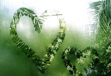 [英超]不做“曼柿”双雄 曼城客场六球大胜.