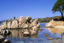 问鼎娱乐：巡回锦标赛签表出炉！冠军奖金15万英镑，丁俊晖.